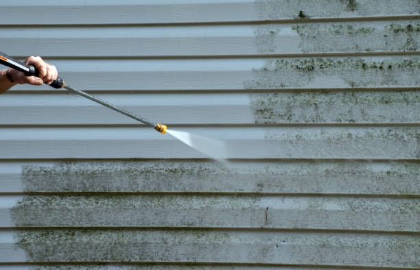 Best House Exterior Washing  in Pine Brook, NJ